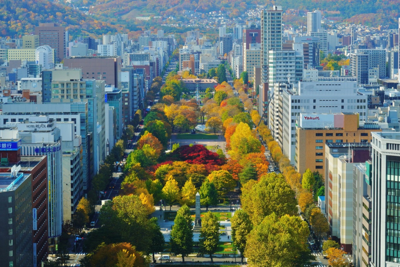 HÀ NỘI – HOKKAIDO – NOBORIBETSU – SAPPORO – OTARU – NGẮM HOA MÙA HÈ