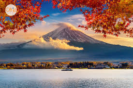 https://indotravent.com/public/files/images-48.jpg