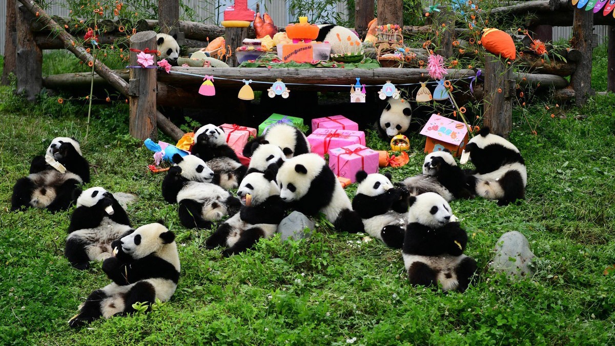 Cong-vien-Gau-truc-Thanh-Do-35.jpg